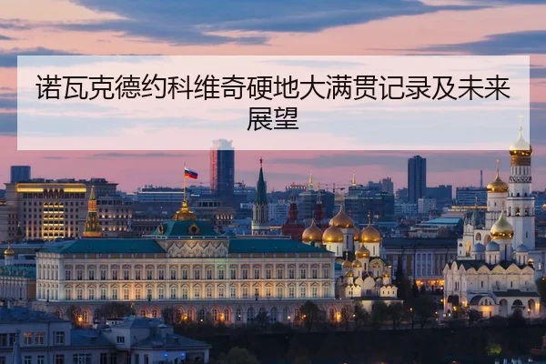 诺瓦克德约科维奇硬地大满贯记录及未来展望